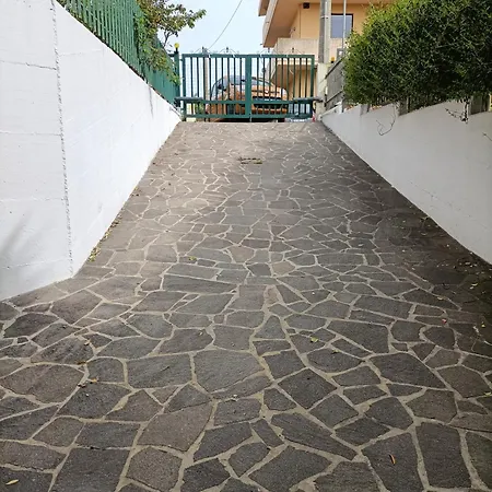 Ada